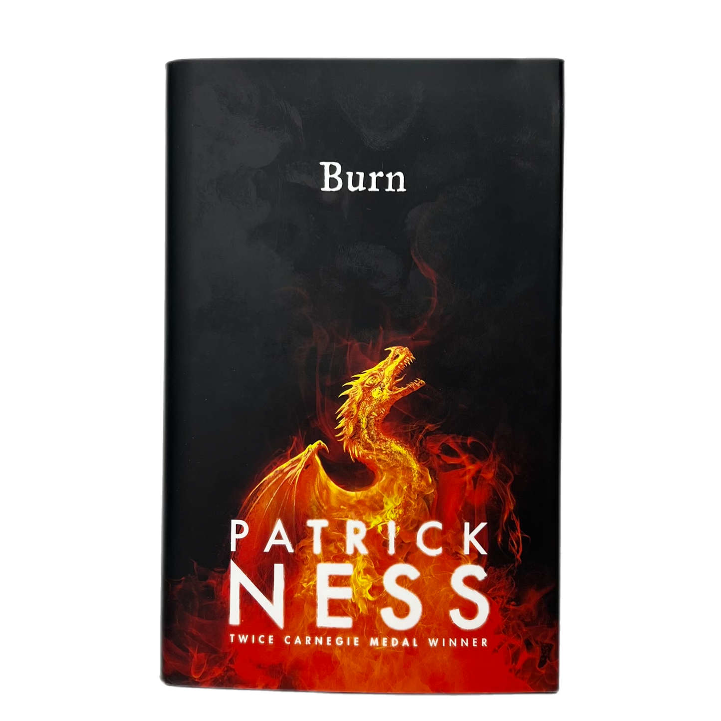 Burn by Patrick Ness