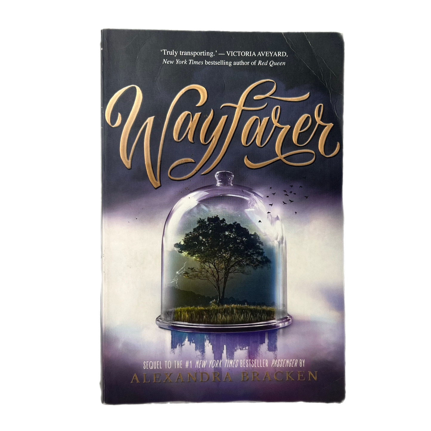 Wayfarer by Alexandra Bracken