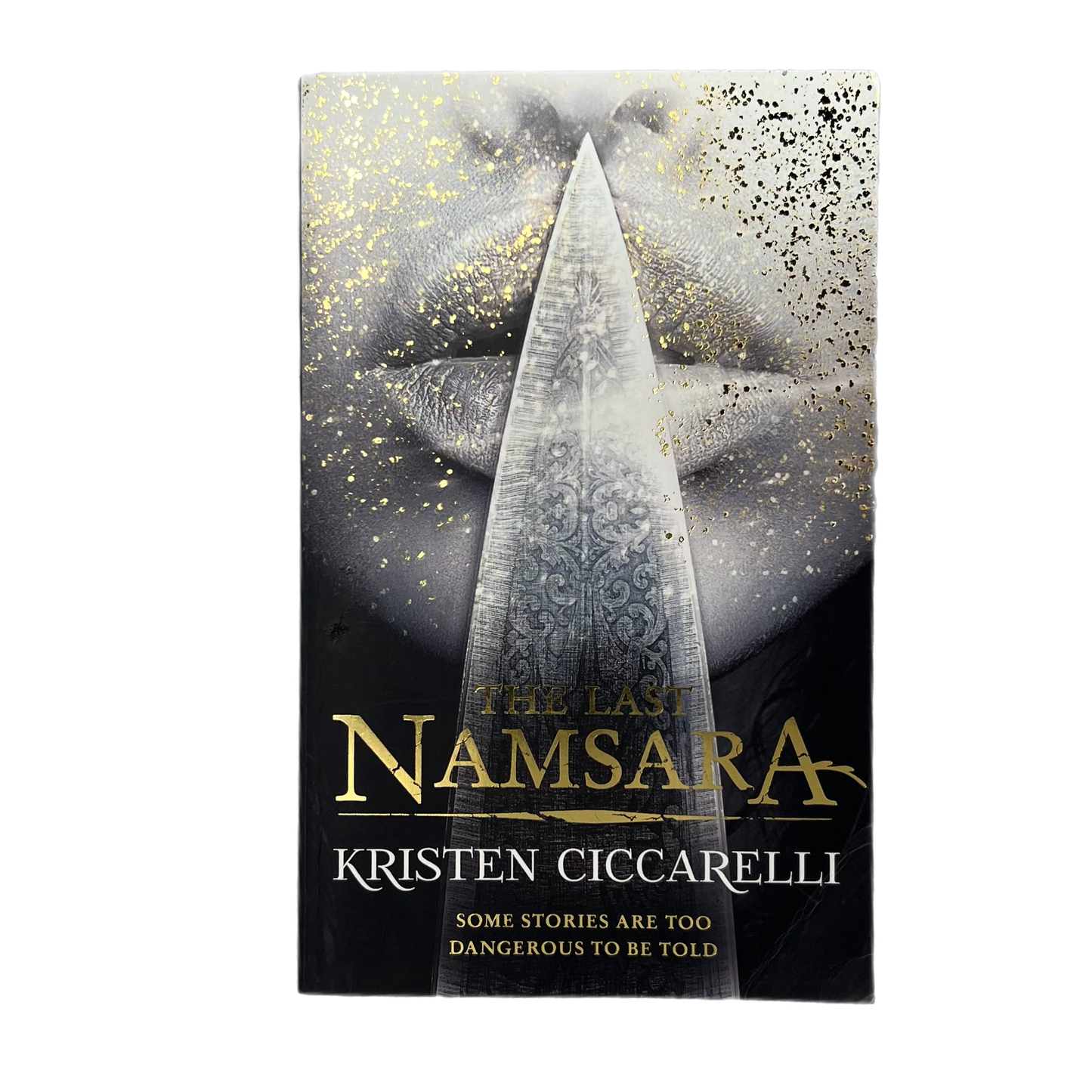 The Last Namsara by Kristen Ciccarelli